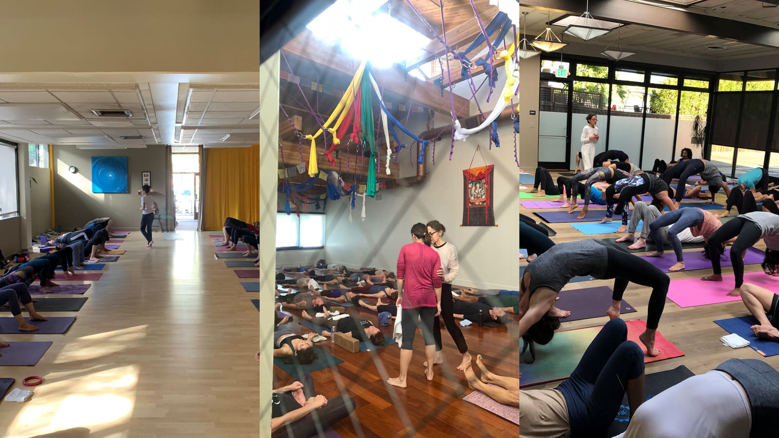 Mojdeh teaching yoga classes